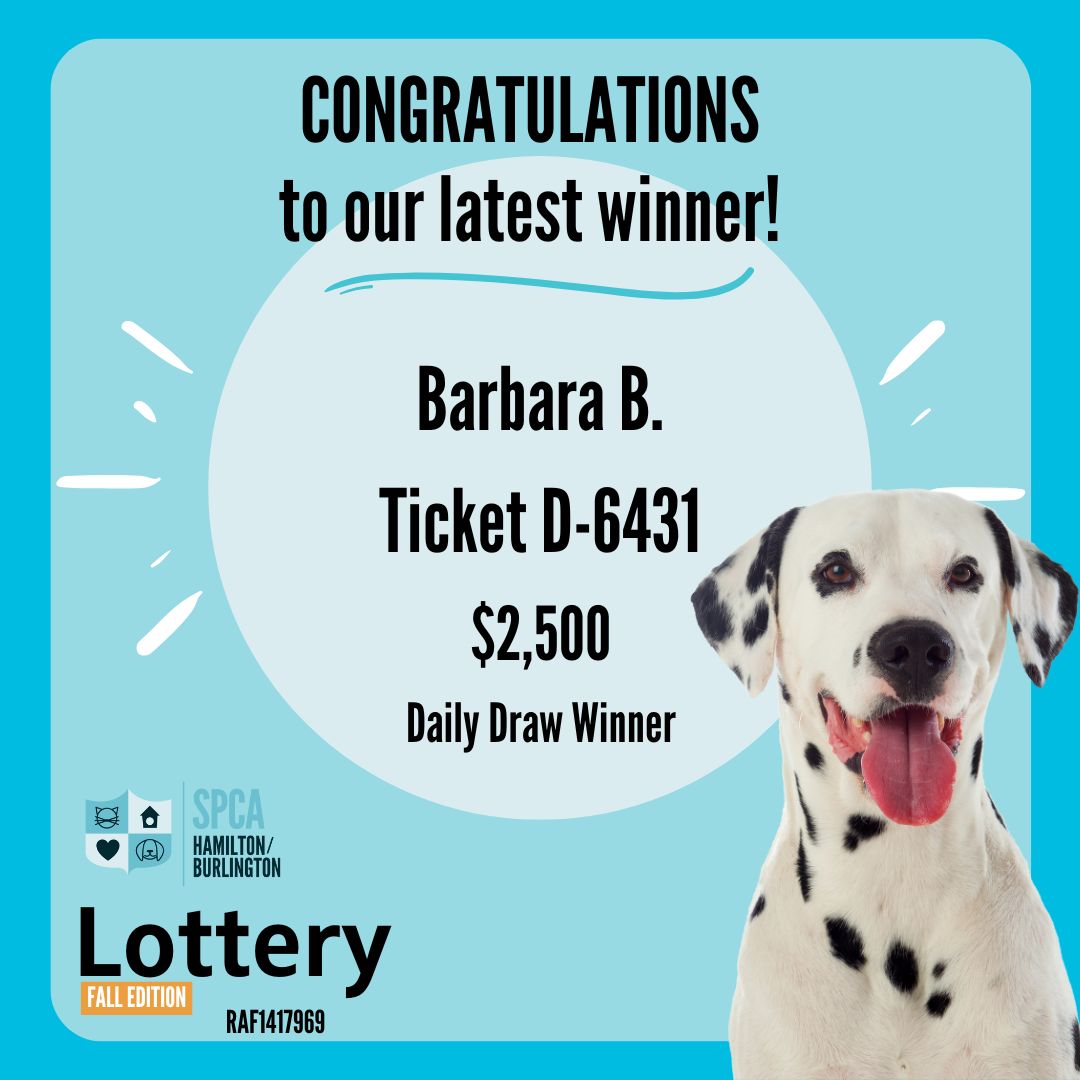 HamiltonBurlington SPCA daily winner