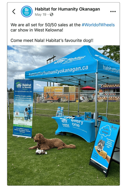 Photo of a fundraising booth at the World of Wheels event in Kelowna, BC, featuring Habitat for Humanity Okanagan's raffle branding. The booth is set up to sell tickets, with a light sandy brown dog lying in front of the booth, looking adorable and pet-worthy